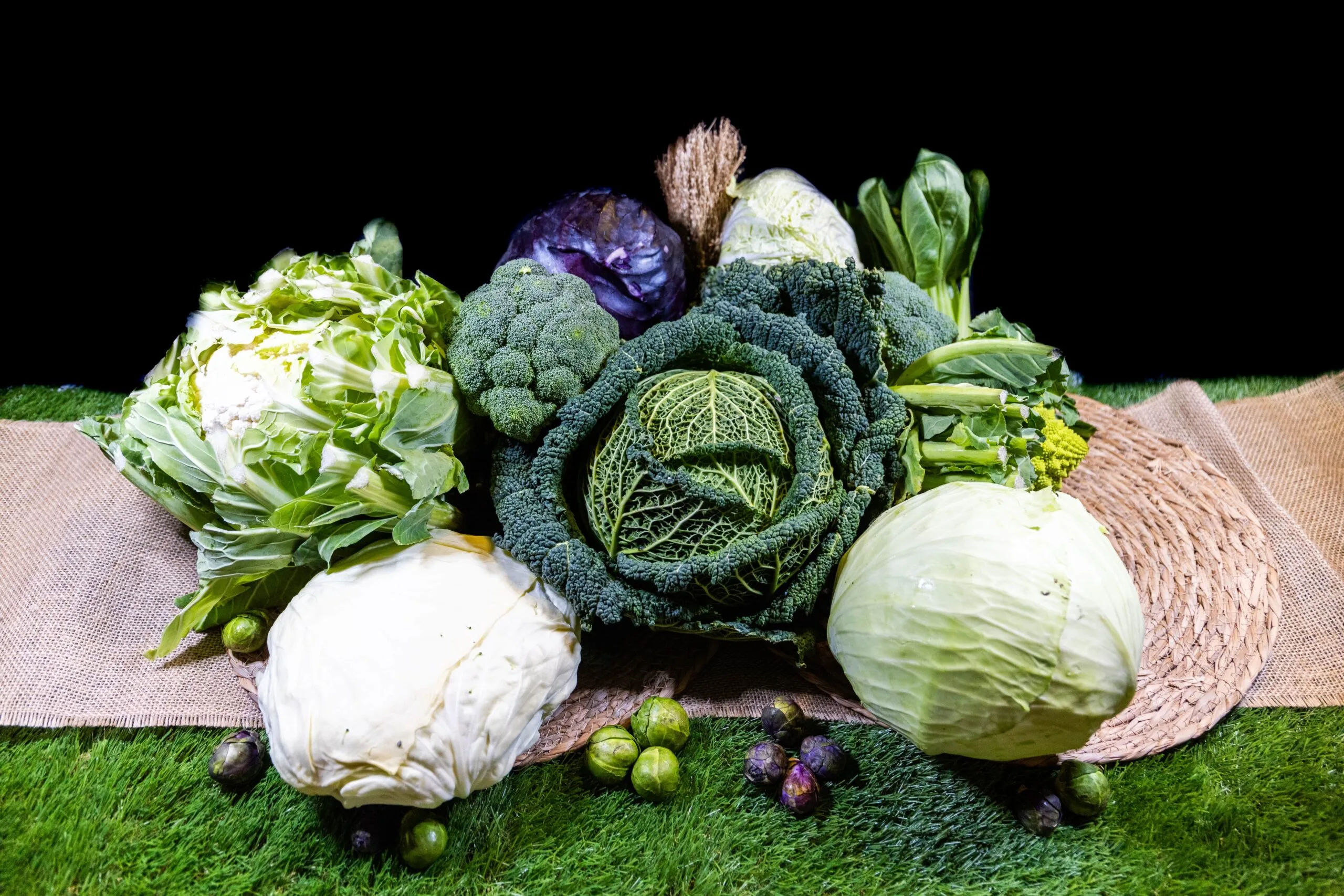 Légumes frais avant la préparation de nos plats